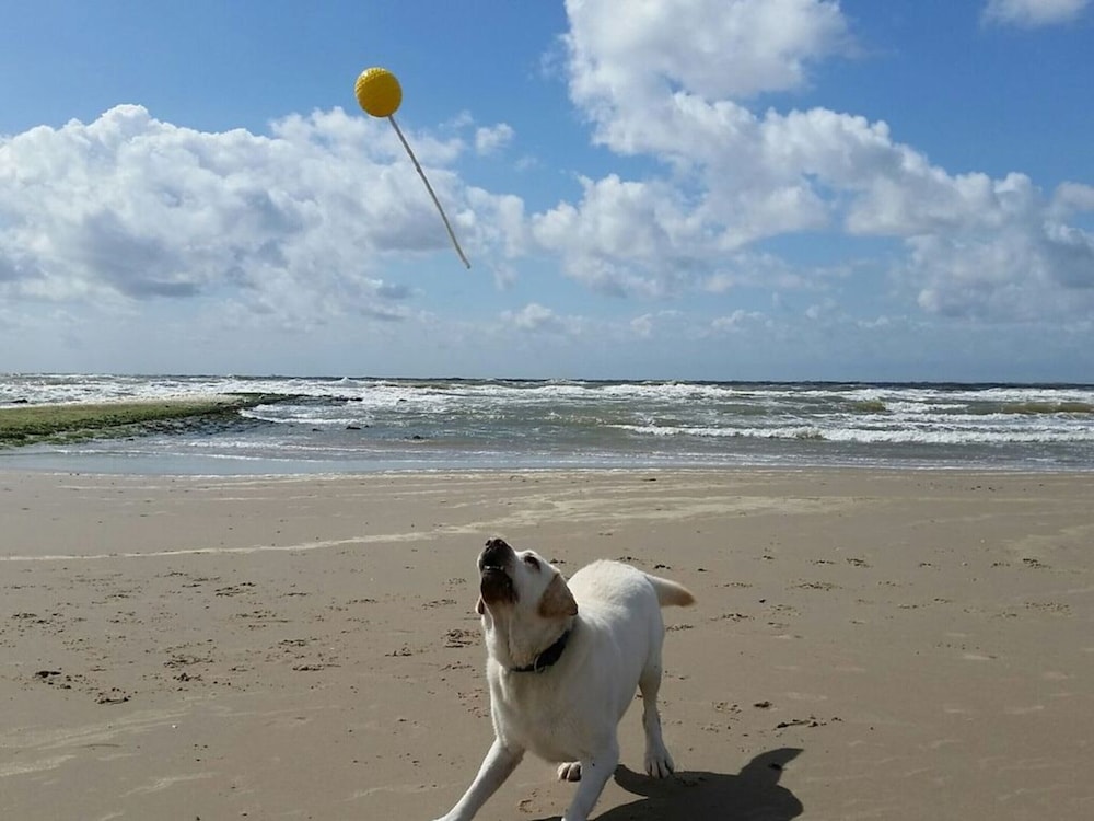 Schittering van de Zee