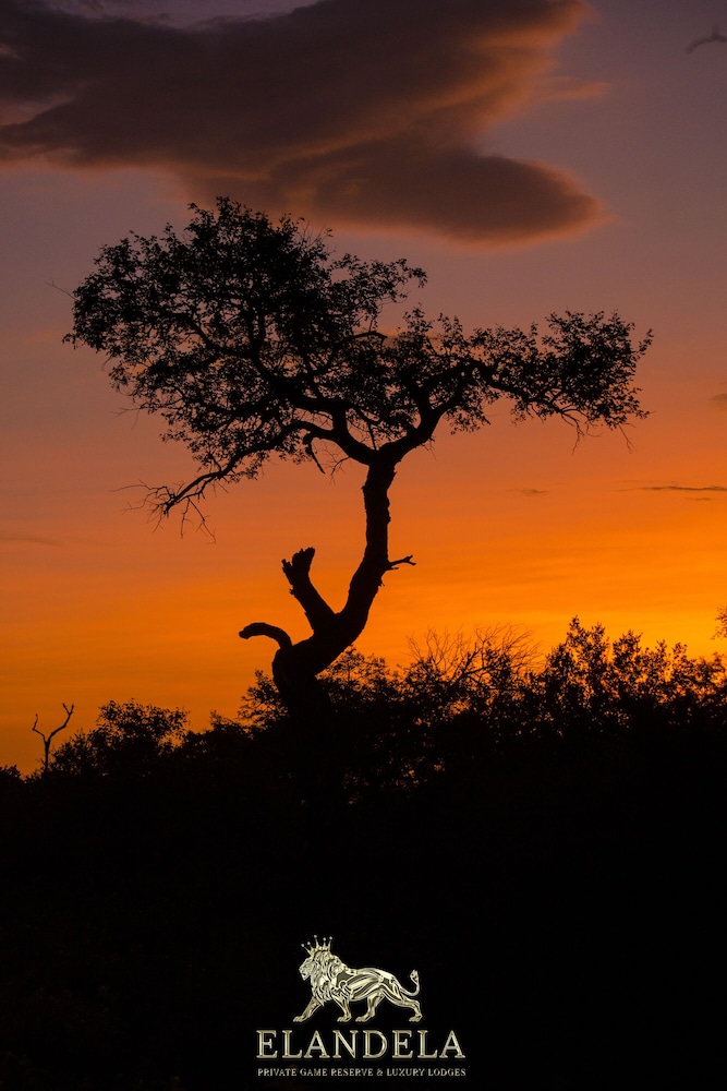 Elandela Private Game Reserve & Luxury Lodge