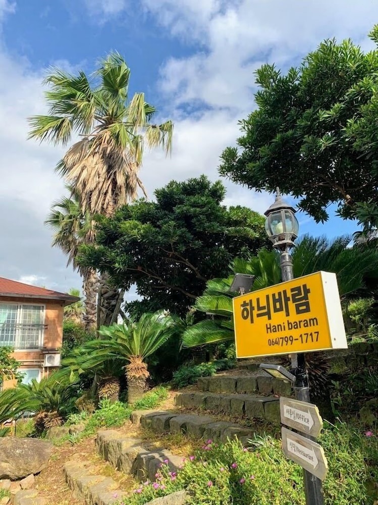 Jejuhanibaram