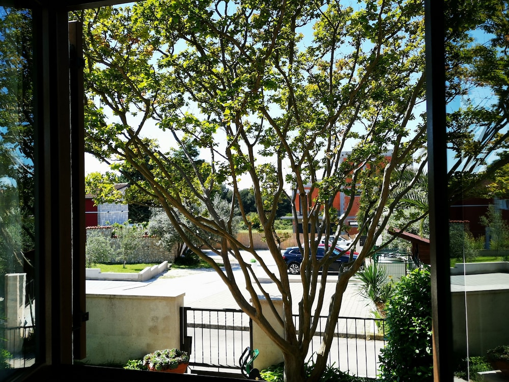 Photo 25