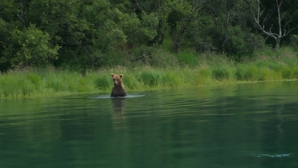 Alaska's Gold Creek Lodge