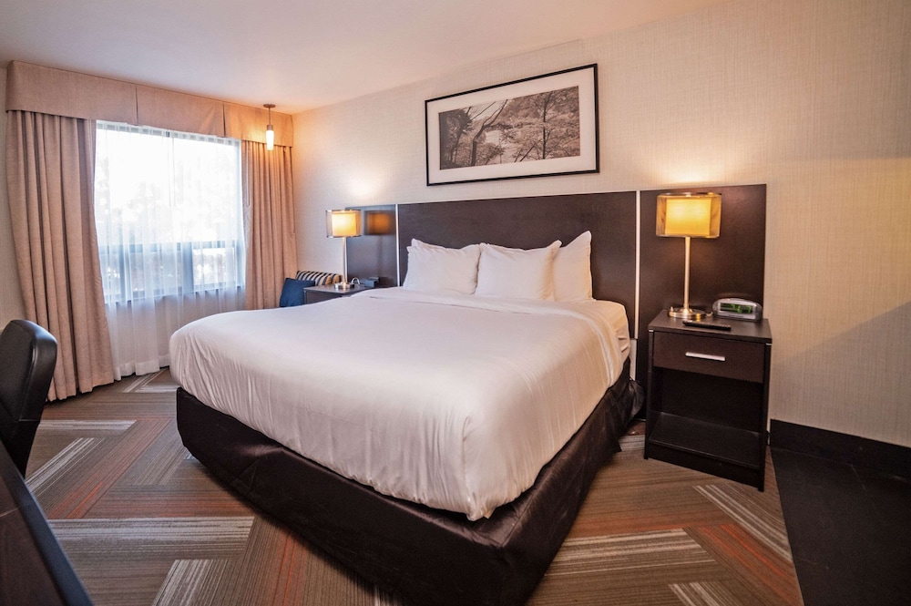Quality Hotel - Property Image 14