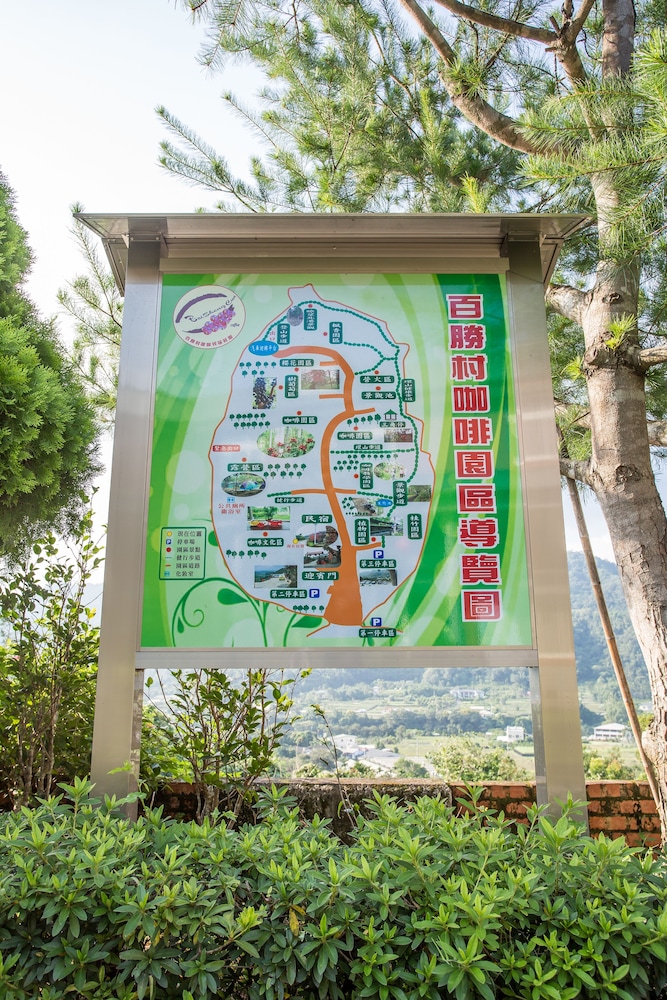 Baishengcun Coffee Farm