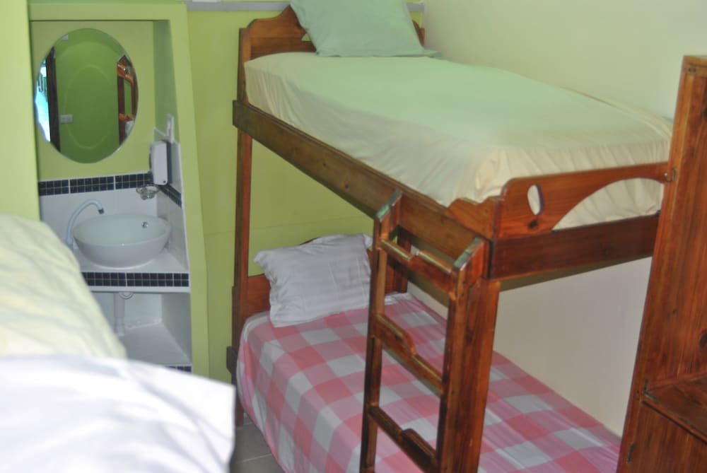 Ecoarthostal - Hostel