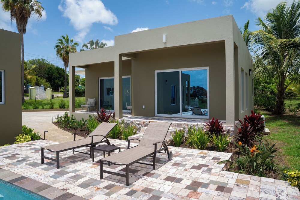 Paradise Suite