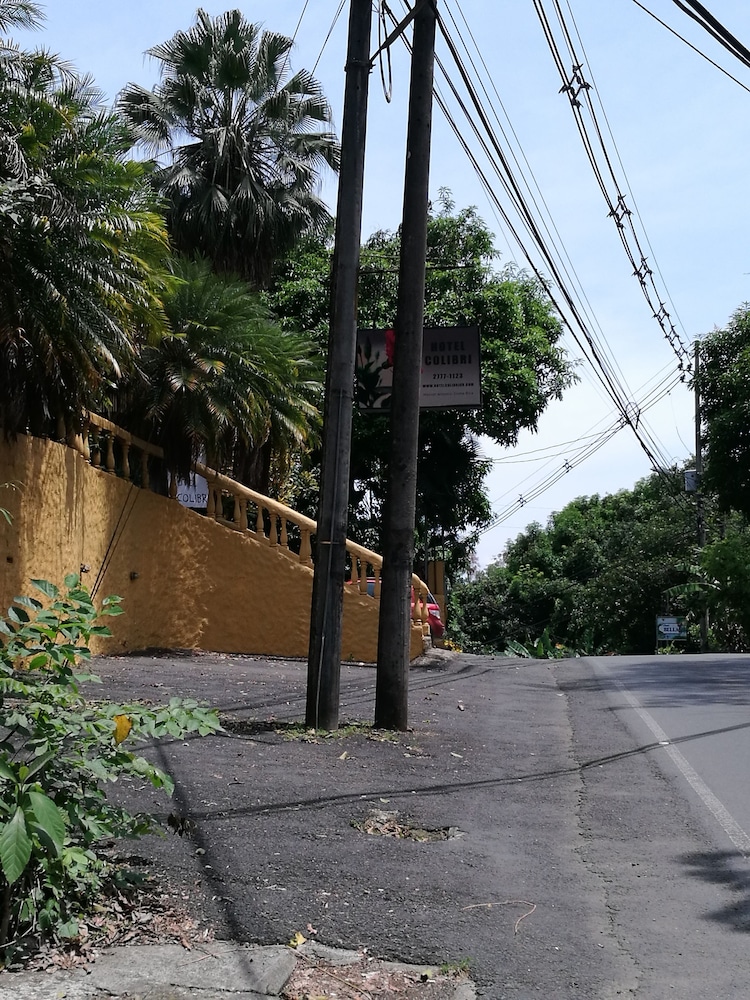 Photo 50