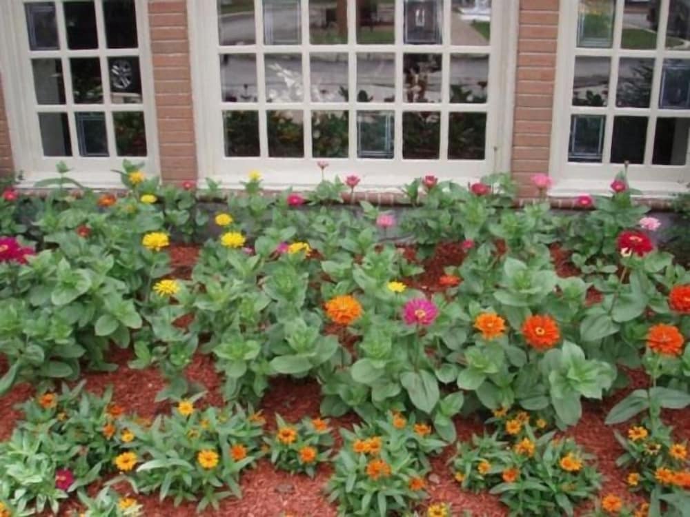 Bloomington Vacations - The Chateau Hotel and Conference Center - Property Image 22