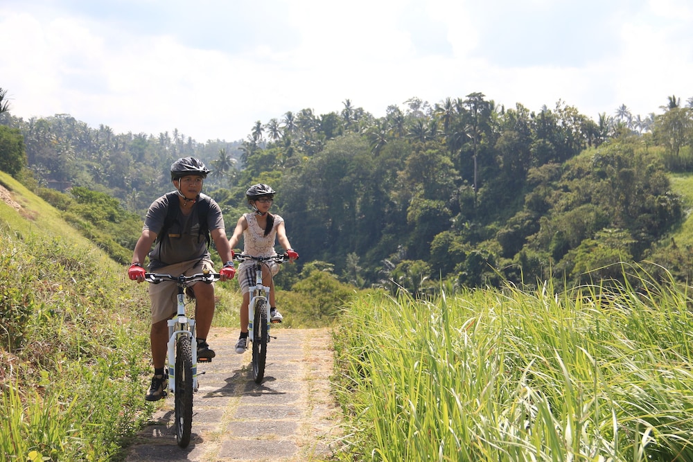 The Lokha Ubud Resort, Villas & SPA