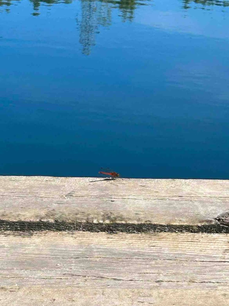 Le Ptit Canada Escape