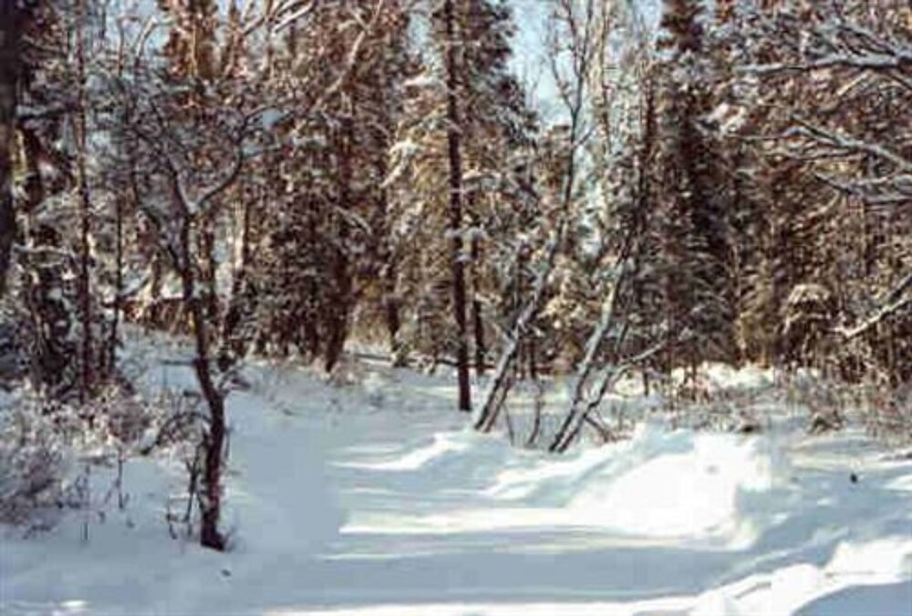 Photo 33