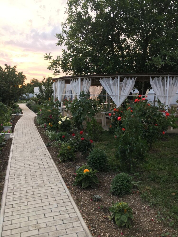 Photo 21