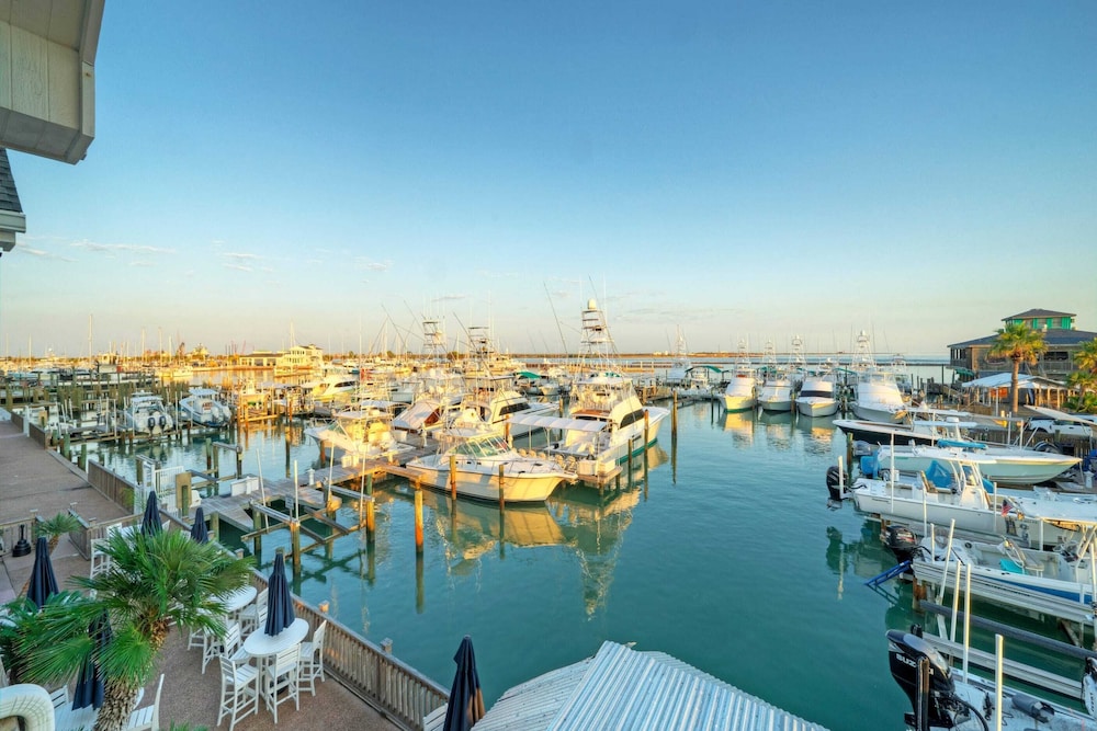Trout Street Buyout 3 Port A Marina-front Homes Water Views + Pet-friendly Options 16 Guests