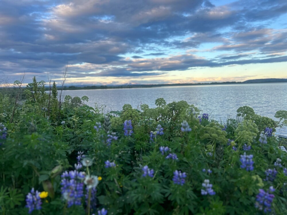 Bjork Guesthouse