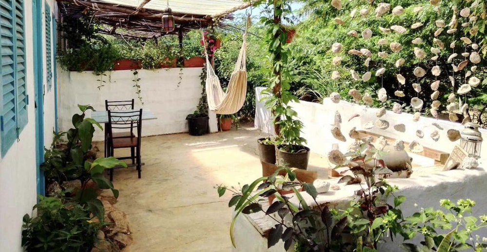Farinha de Pau - Eco Rural Project