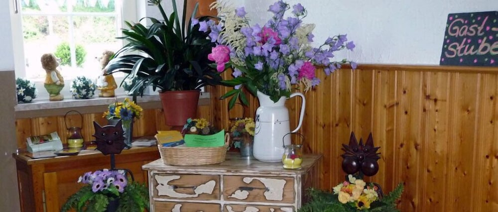 Pension zur Schenke view 2