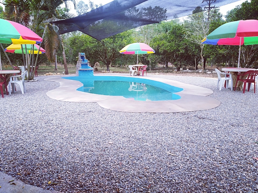 Photo 9
