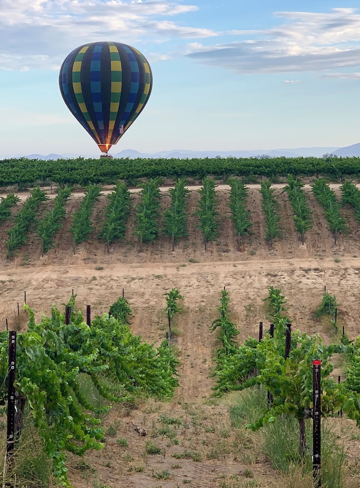 Domaine Chardonnay