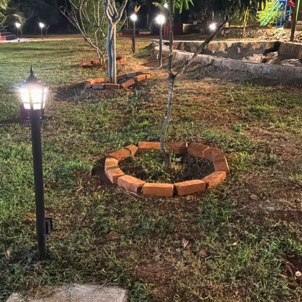 JUNGLE FARMS BY MAARK INN