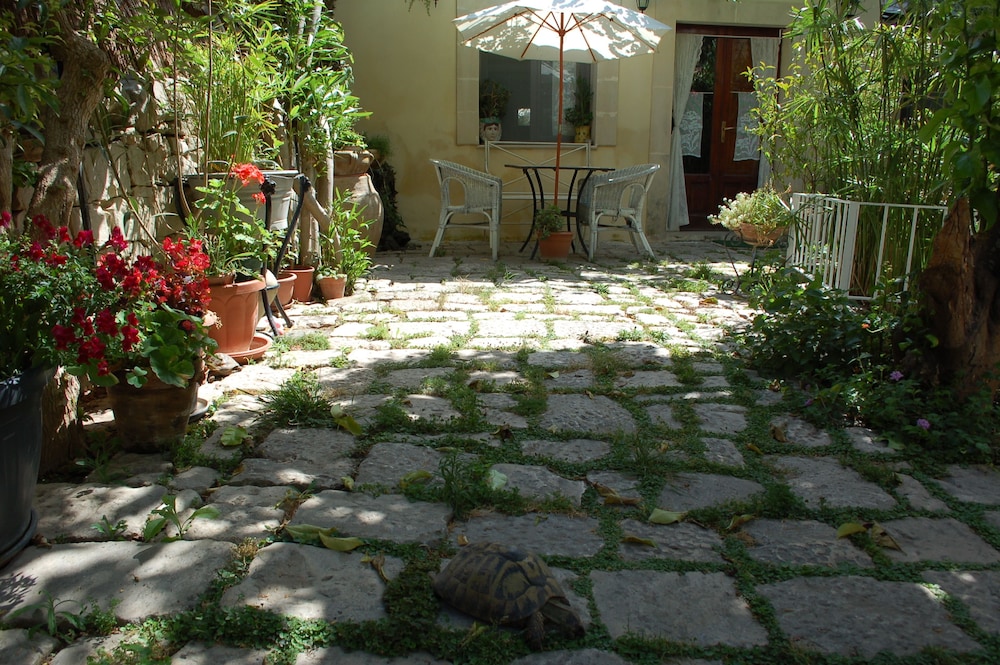 Photo 23