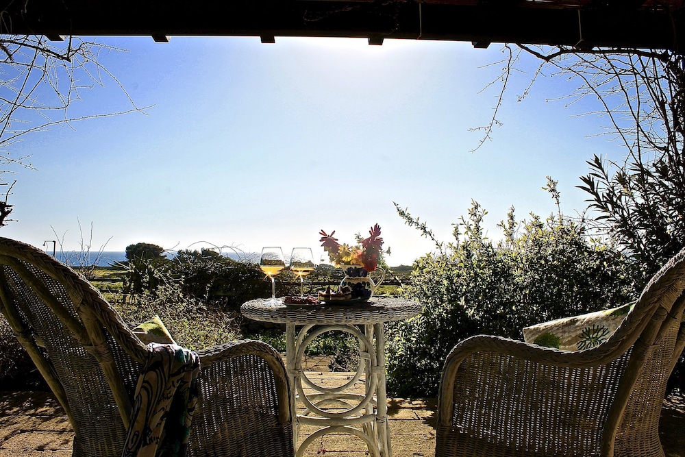 Il Giardino delle aloe