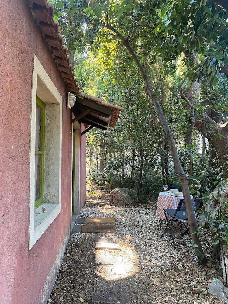 Photo 18