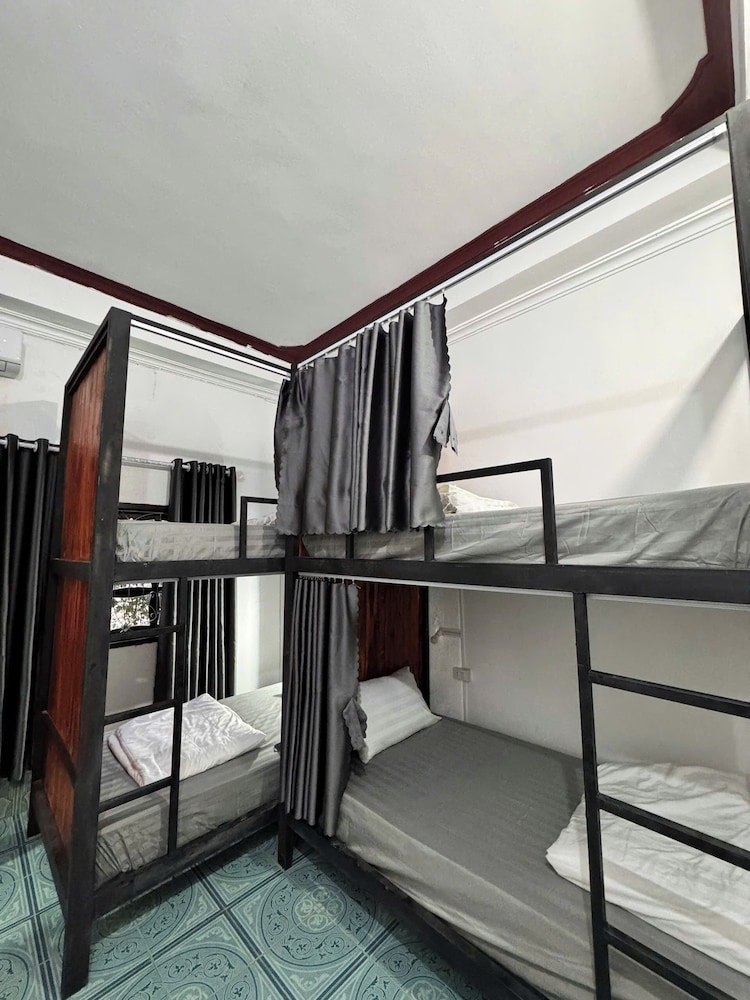 Jungle Backpackers View