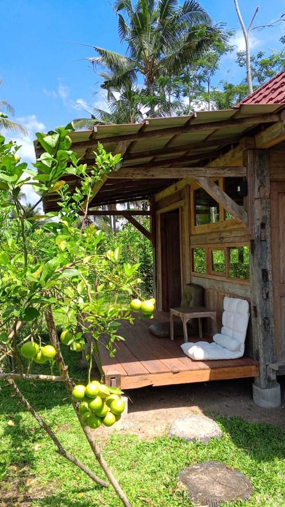 Homestay Ijen Lemonhouse