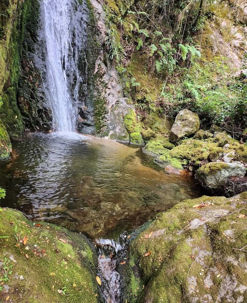 Domo Valle El Encanto Peulla