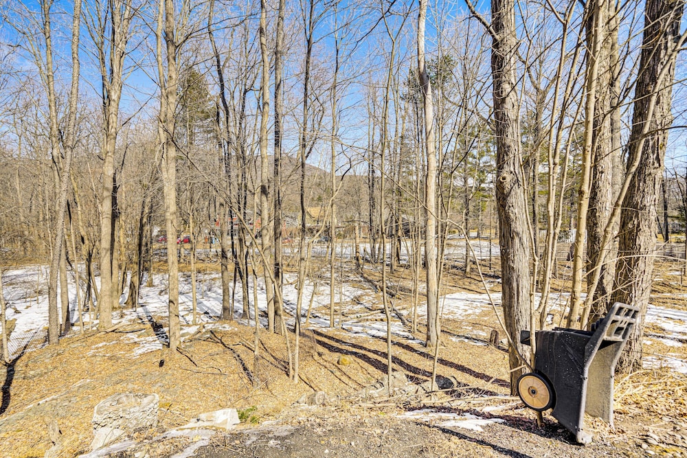 3 Mi to Hiking: Cozy Mt Tremper Apt