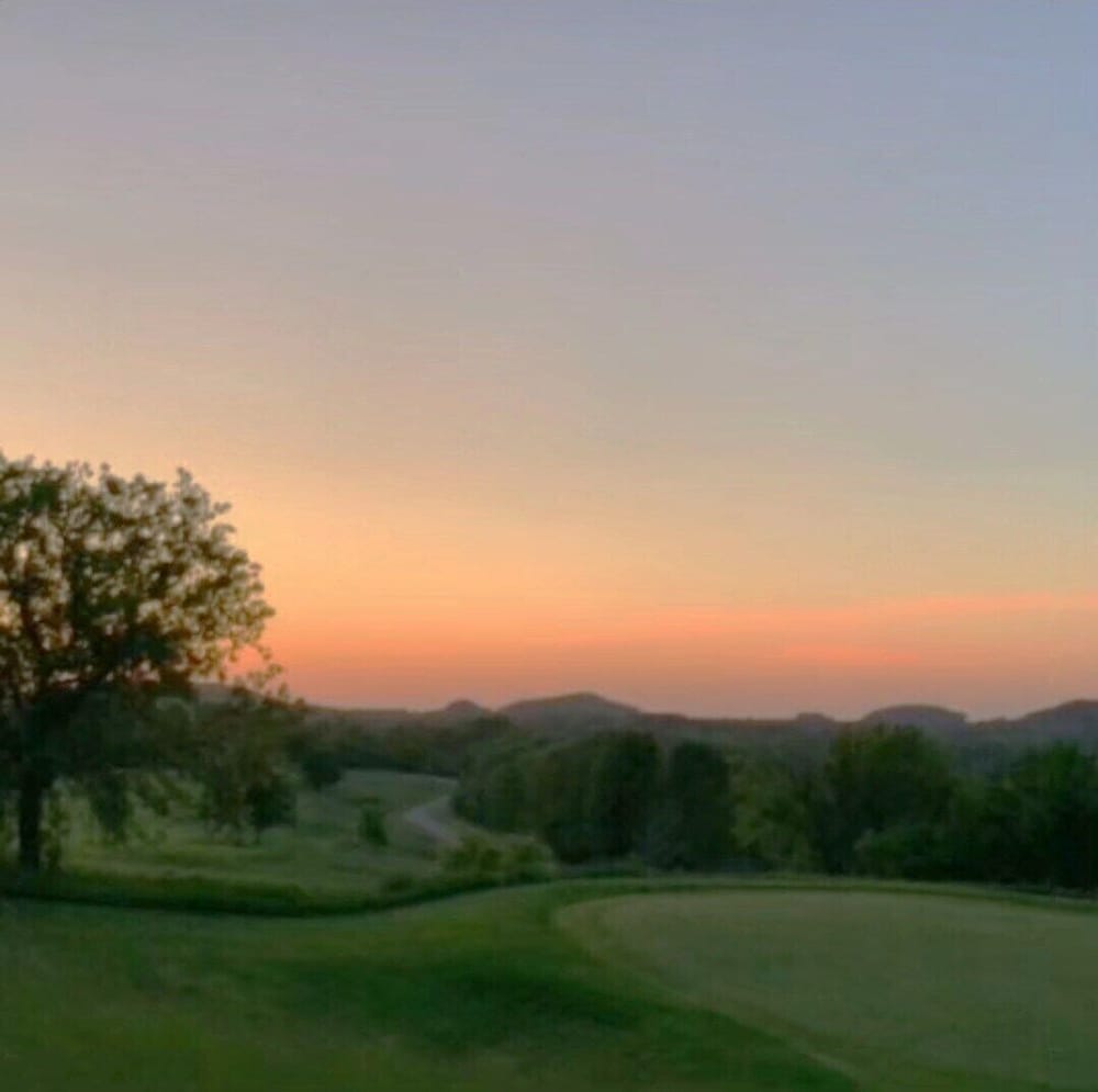 Olive Tree Rentals