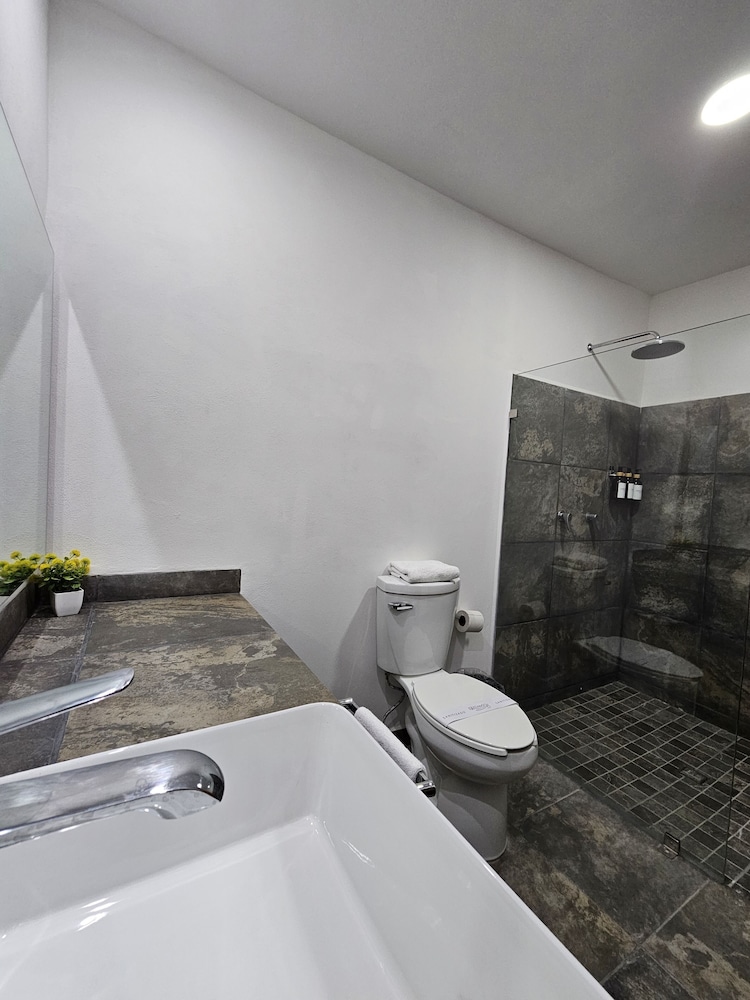 Hotel Ejecutivo Aeropuerto Morelia - Property Image 46