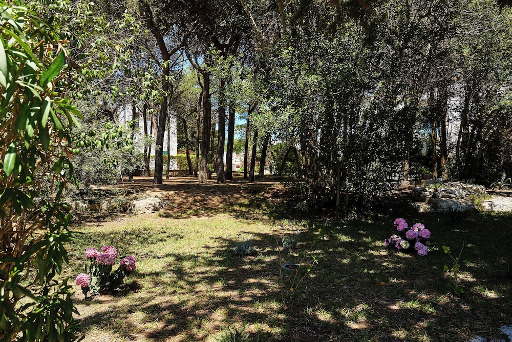 Tenuta Belvedere