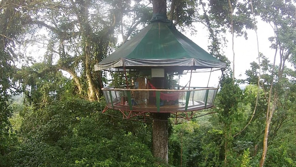 Nature Observatorio Amazing Treehouse