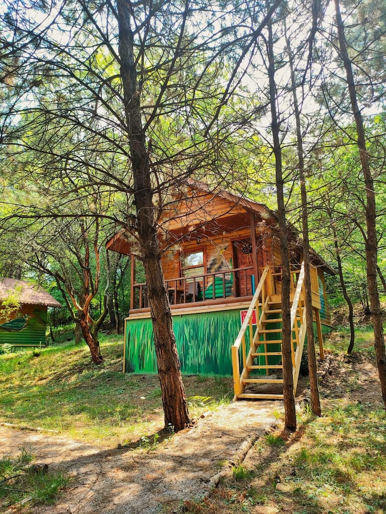 ÇAMPINARI DOĞA EVLERİ & RESTAURANT view 3