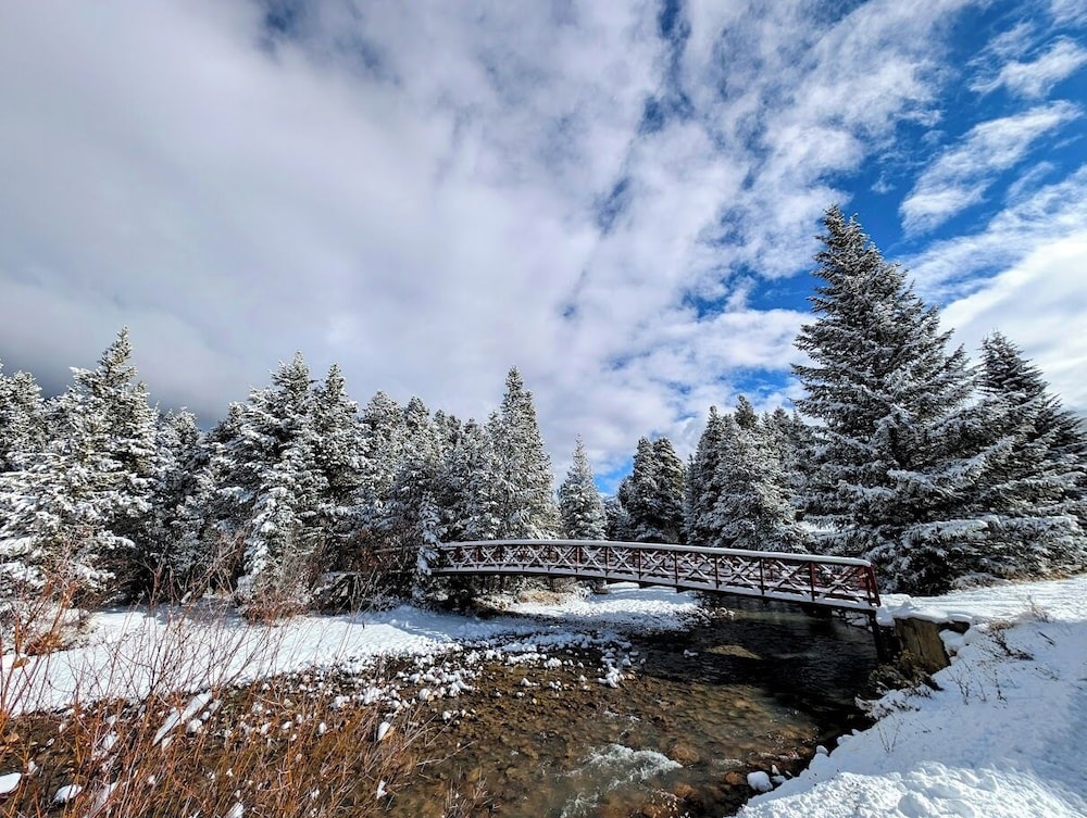 Cinnamon Ridge 1-141