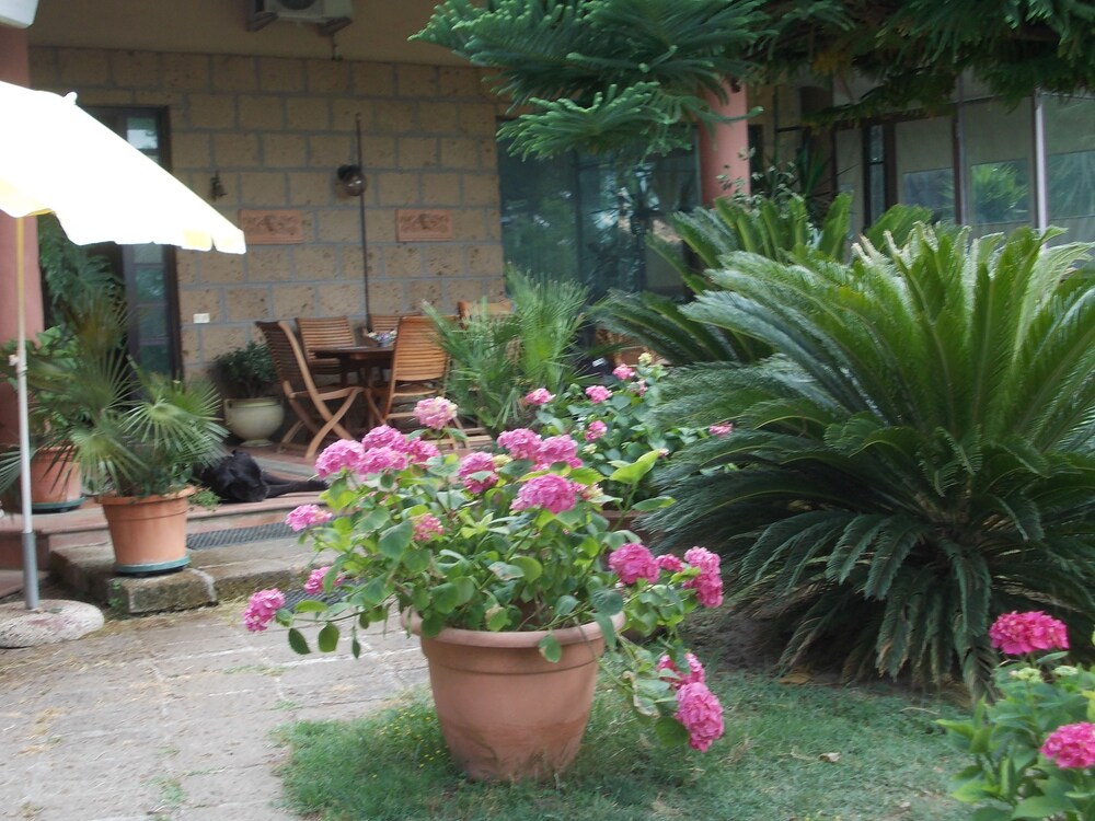 Photo 27