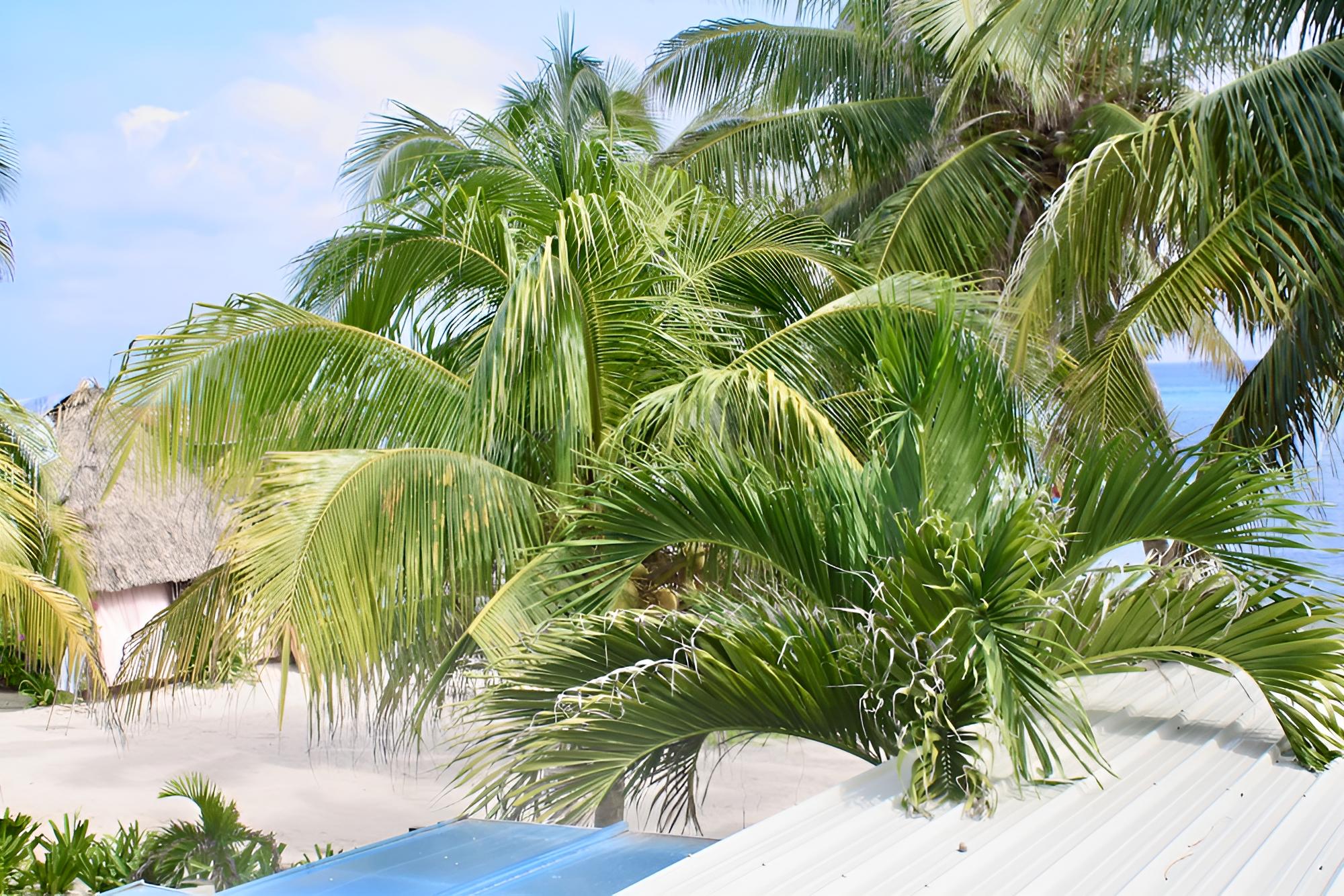 San Pedro Holiday Hotel