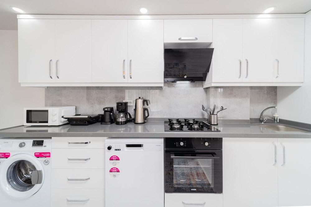 Modern and Fully Furnished 1 1 Flat in Antalya
