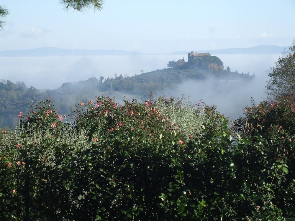 Photo 46