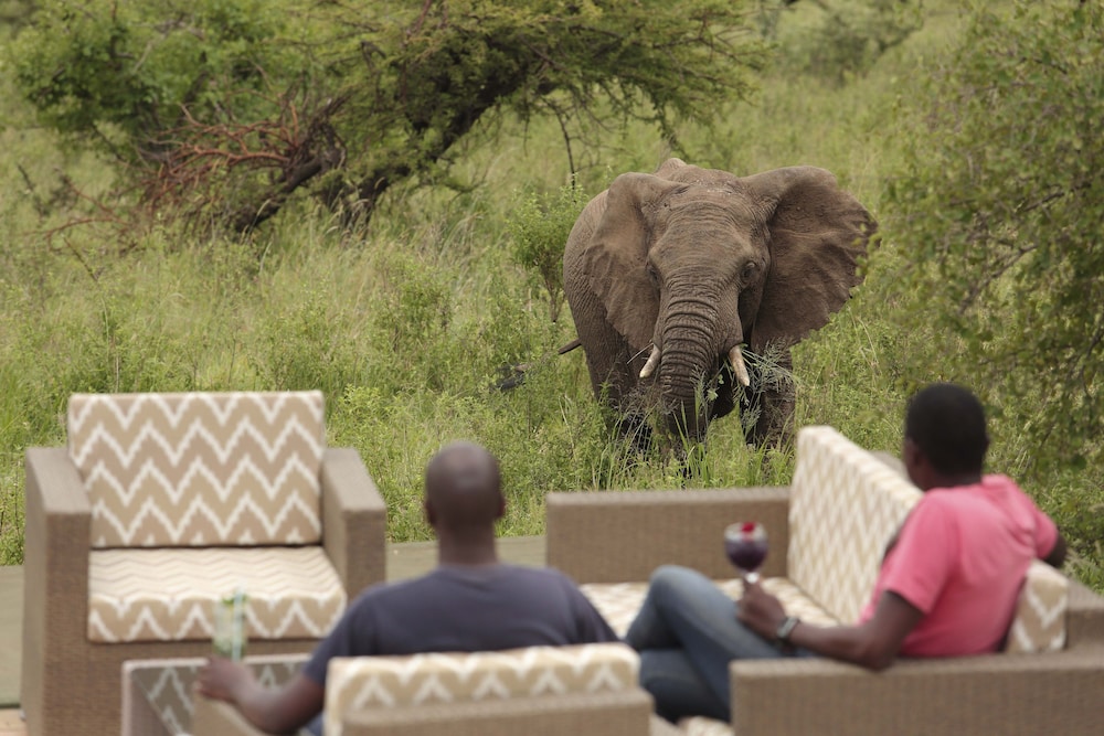 Spirit Of The Masai Mara