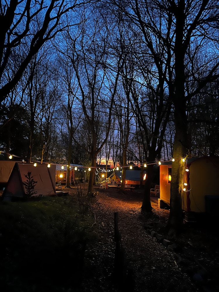 Camping De Helleborus