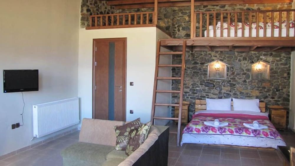 Ixnilatis - Property Image 25