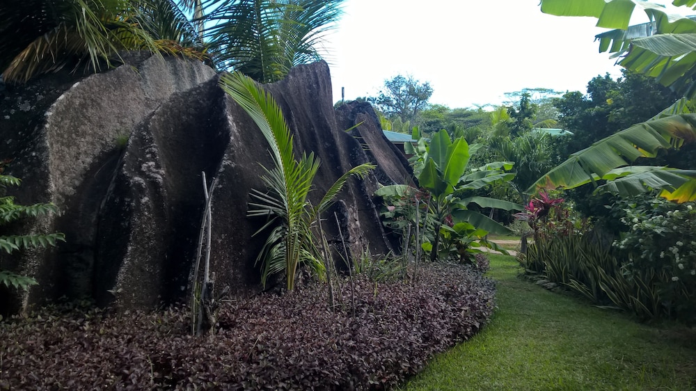 Cocotier Du Rocher