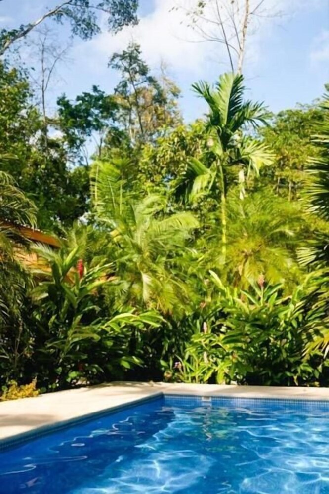 La Paz del Caribe