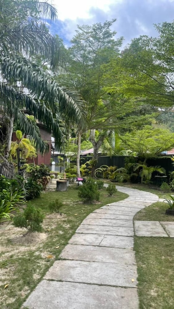 Arwana Perhentian Bluestar
