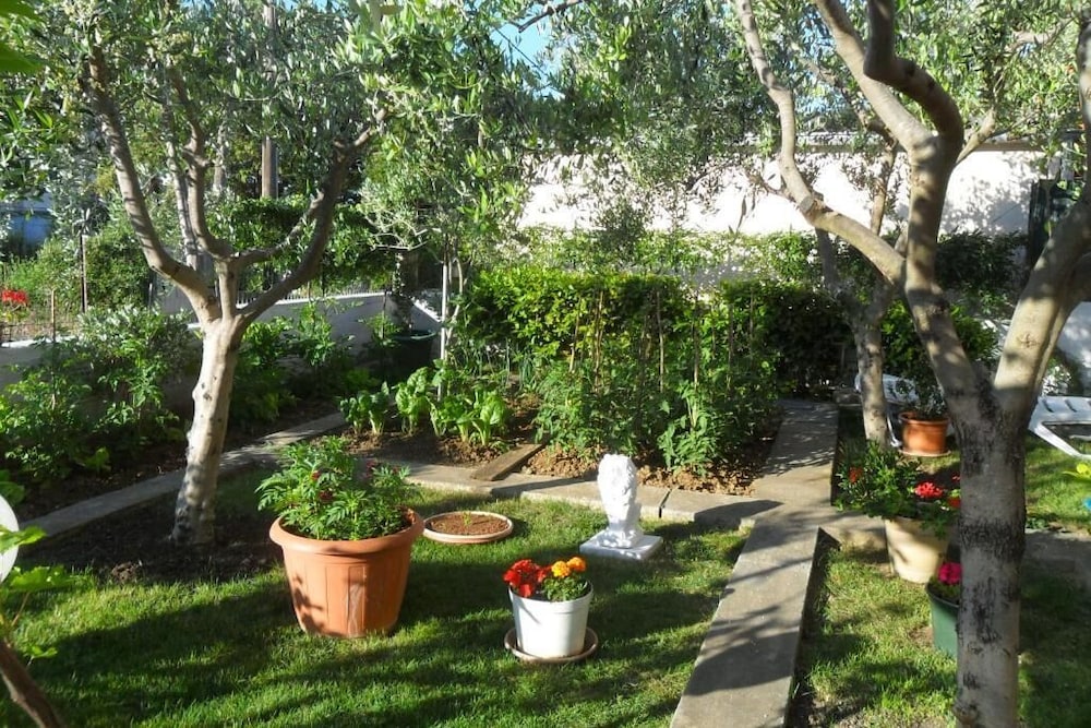 Photo 42