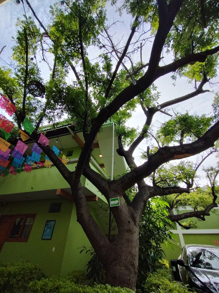 Hotel Los Ciruelos - Property Image 5