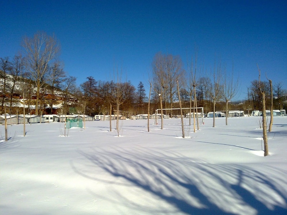Photo 33
