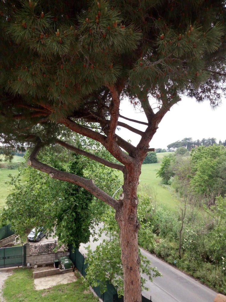 Casale Collina