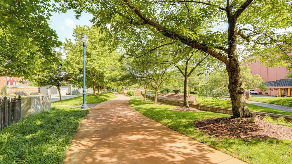 Dtwn at Your Door: Historic Frederick Gem w/ Yard!